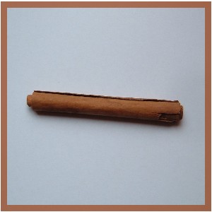 Cinnamon Stick essential oil of organic